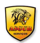 Asgur Assessoria Em Segurança Ltda