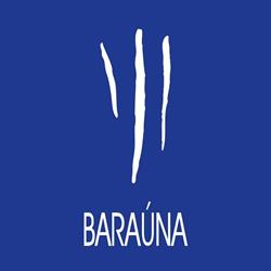 Marcenaria Baraúna