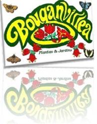 Bouganvillea Plantas Ltda