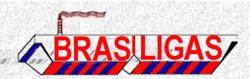 Brasiligas Metais e Ligas Ltda