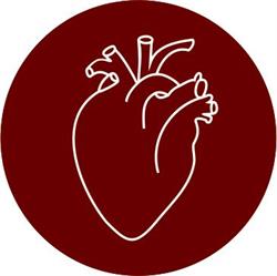 Clínica Cárdio Cirúrgica Campinas