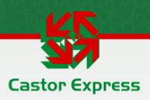 Castor Express Logística