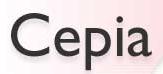 Cepia - Cidadania Estudo Pesquisa Informação e Ação