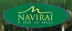 Agropecuária Navirai Ltda