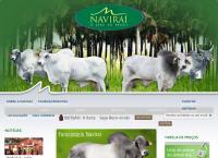 Site do Agropecuária Navirai Ltda