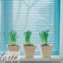 Enviado por visitante em 01/06/2017 - Persianas SP - 11-2262-6409 Clarte Decor