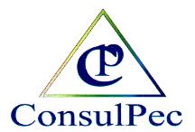 Consulpec - Consultoria e Perícia Contábil Ltda
