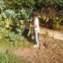 Enviado por visitante em 17/08/2016