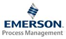 Emerson Process Management Ltda