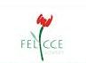 Felicce Flowers