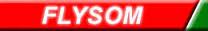 Flysom Componentes Eletrônicos