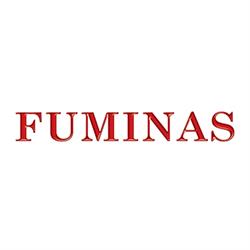 Fuminas Comércio de Fundidos Ltda