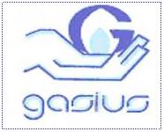 Instituto Seguridade Social Da Ceg Gasius