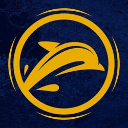 Golden Dolphin Hotel Ltda