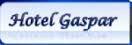 Hotel Gaspar Ltda