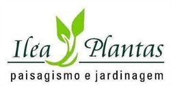 Ilea Plantas Ornamentais Ltda
