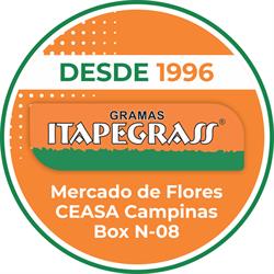 Gramas Itapegrass