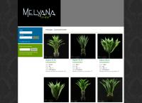 Site do Melyana Comércio Ltda
