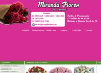 Site do Miranda Flores