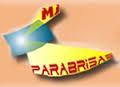 Mj Parabrisas