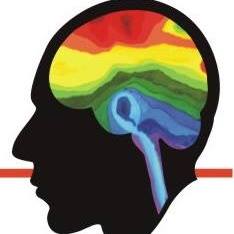 Neurotec Empresa de Pesquisa e Desenvolvimento Em Biomedicina Ltda