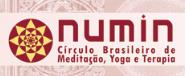 Numin Instituto Brasileiro de Meditação e Yoga