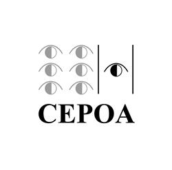 Oculistas Associados Do Rio de Janeiro Ltda
