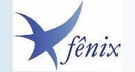 Organização Fênix