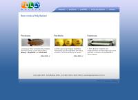 Site do Polly Balões