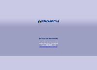 Site do Proneon Luminosos Ltda