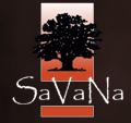 Salão de Everton Savana
