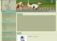 Site do Tinturaria Pari Ltda