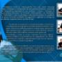 Transparencia e Honestidade