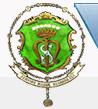 Assoc Civil Das Servas de Maria