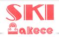 Ski Produtos Elétricos Ltda