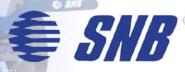 Snb Válvulas Conexões Ltda