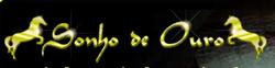 Sonho de Ouro Festas e Eventos Ltda
