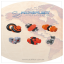 CATALOGO