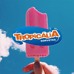 Sorvetes Tropicalia Industria e Comercio Ltda