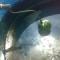 PESTCLEAN-LIMPA-SUA-CAIXA