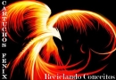 Cartuchos Fenix