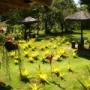 Jardim Pousada Tororomba