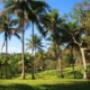 Área de 2 hectares Pousada Tororomba