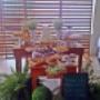 Casamento Mini wedding