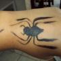 ARANHA DE PINTURA