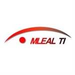 Mleal Ti - Consultoria