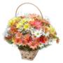 cesta de flores do campo