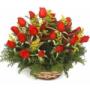 cesta de rosas vermelhas