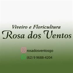 Floricultura Rosa dos Ventos