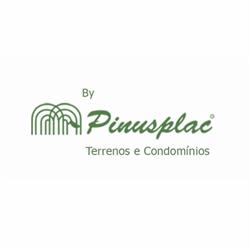 Pinusplac Indústria E Comércio De Madeira Ltda - Licorsul